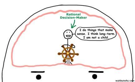 Rational Decision Maker Drawing of the rational decision maker by Tim Urban from Wait but Why, Uitstelgedrag