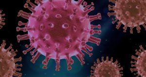 virus-4937553_1280 Corona Zuidweg & Partners